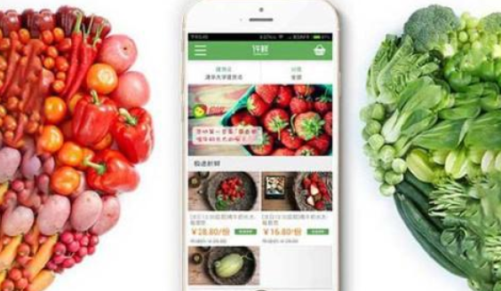 农产品电商商城app开发解决农产品滞销，方便用户购买新鲜食材