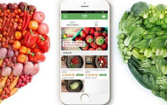 农业电商app开发解决农业痛点商业模式，给用户提供哪些便利？
