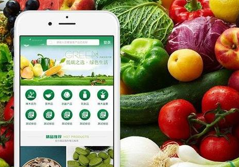 线上买菜app开发有哪些实用价值，需要哪些功能满足用户需求?