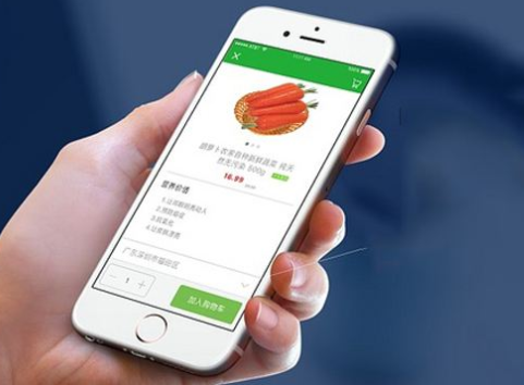 社区买菜appApp开发为用户提供一站式快捷购物平台
