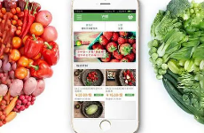 果蔬电商APP开发为生鲜果蔬行业与消费者搭建互利共赢的平台