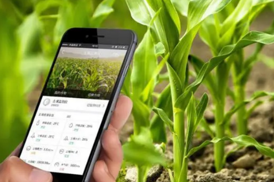 广州App开发_智慧农业物联网APP系统开发为用户带来什么优势