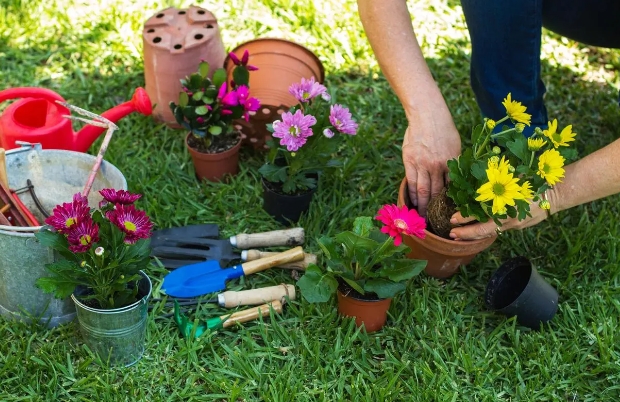 园艺APPApp开发的优势：专业解决园艺行业痛点，提升园艺的体验